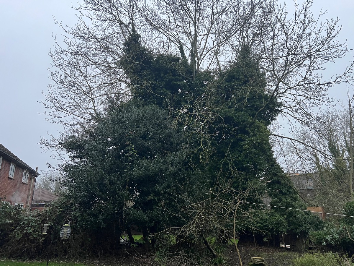 Landscaper: Image 30